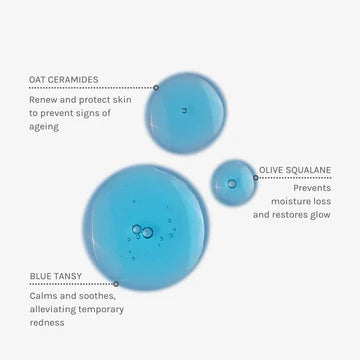 Blue Velvet Ceramide Serum