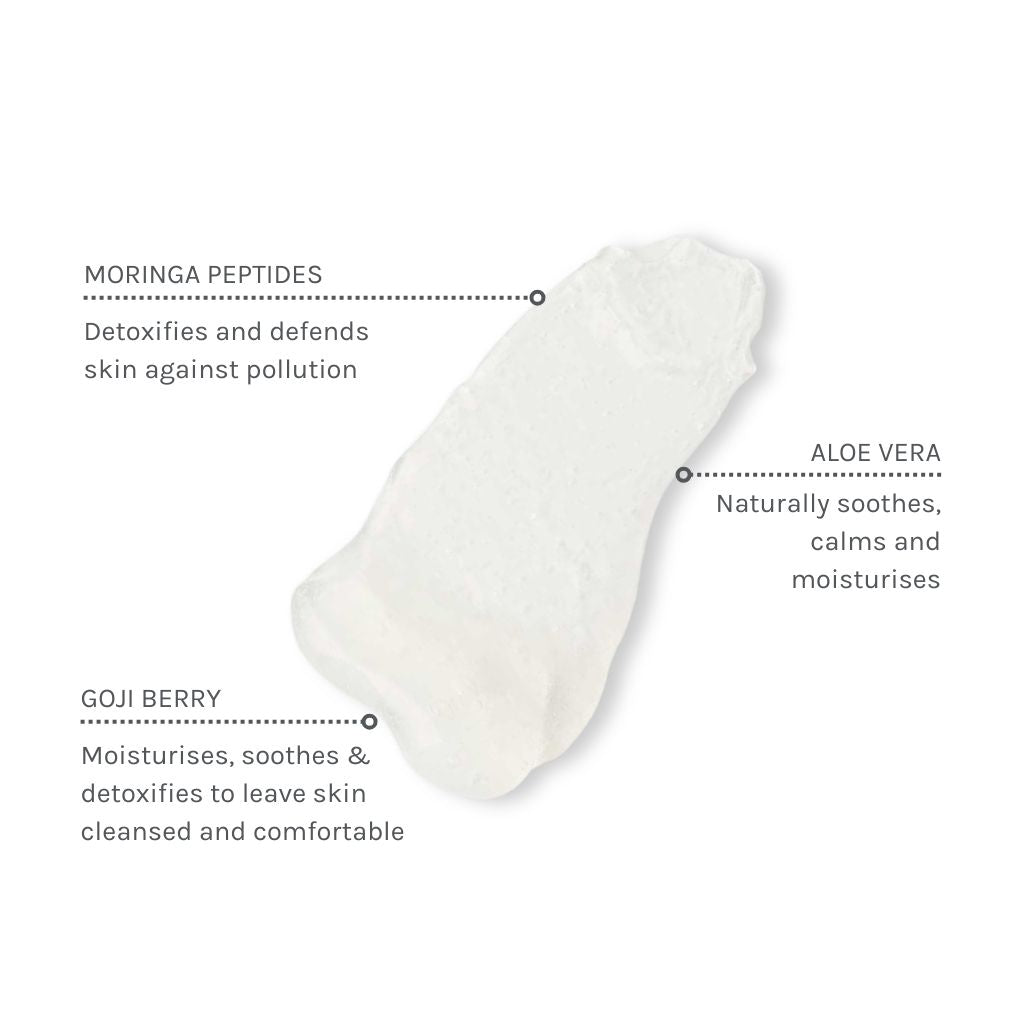 Daily Detox Facial Wash